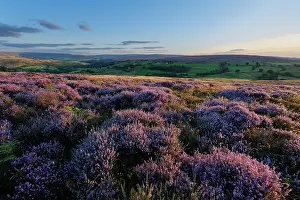 Protected Prints: England, North Yorkshire, North York Moors National Park
