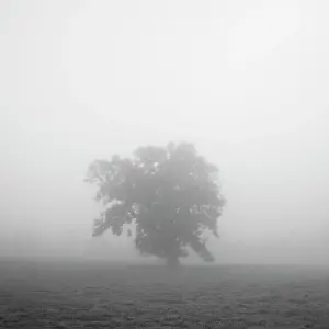 Atmosphere Prints: England, North Yorkshire, Northallerton