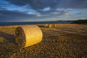 England, North Yorkshire, Scarborough