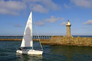 Harbour Prints: England, North Yorkshire, Whitby