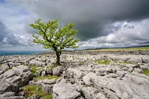 North Yorkshire Prints: England, North Yorkshire, Yorkshire Dales National Park