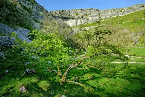 North Yorkshire Prints: England, North Yorkshire, Yorkshire Dales National Park