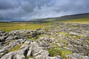 North Yorkshire Prints: England, North Yorkshire, Yorkshire Dales National Park