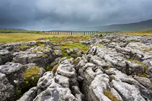 North Yorkshire Prints: England, North Yorkshire, Yorkshire Dales National Park