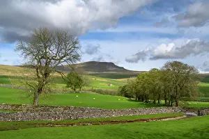 North Yorkshire Prints: England, North Yorkshire, Yorkshire Dales National Park