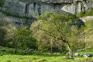 North Yorkshire Prints: England, North Yorkshire, Yorkshire Dales National Park