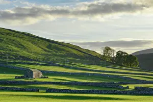 North Yorkshire Prints: England, North Yorkshire, Yorkshire Dales National Park