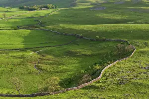 North Yorkshire Prints: England, North Yorkshire, Yorkshire Dales National Park