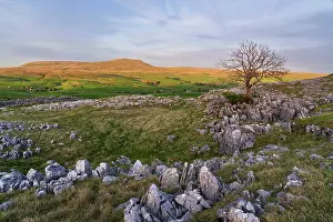 National Park Prints: England, North Yorkshire, Yorkshire Dales National Park