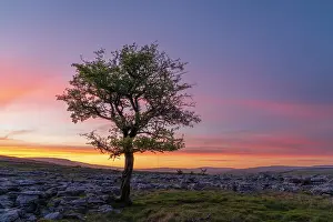 Colour Prints: England, North Yorkshire, Yorkshire Dales National Park