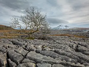 National Park Prints: England, North Yorkshire, Yorkshire Dales National Park