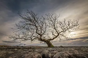 National Park Prints: England, North Yorkshire, Yorkshire Dales National Park