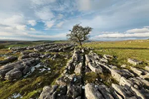 National Park Prints: England, North Yorkshire, Yorkshire Dales National Park
