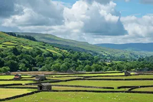 Protected Prints: England, North Yorkshire, Yorkshire Dales National Park