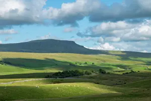 Protected Prints: England, North Yorkshire, Yorkshire Dales National Park