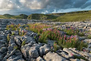 Protected Prints: England, North Yorkshire, Yorkshire Dales National Park