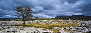 England, North Yorkshire, Yorkshire Dales National Park