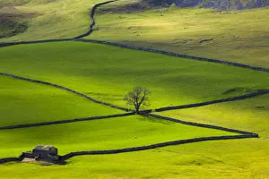 England, North Yorkshire, Yorkshire Dales National Park