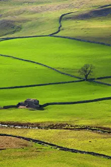 Protected Prints: England, North Yorkshire, Yorkshire Dales National Park