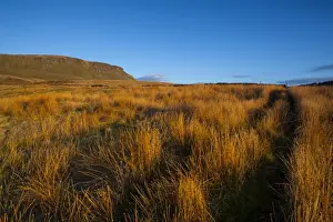 England, North Yorkshire, Yorkshire Dales National Park