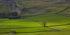 England, North Yorkshire, Yorkshire Dales National Park