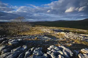England, North Yorkshire, Yorkshire Dales National Park