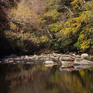 England, Northumberland, Allen Banks and Staward Gorge