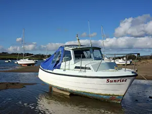 Spring Prints: England, Northumberland, Alnmouth