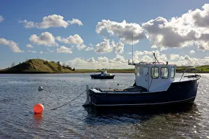Spring Prints: England, Northumberland, Alnmouth