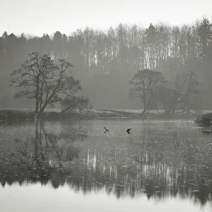 River Prints: England, Northumberland, Alnwick