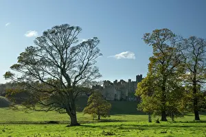 Protected Prints: England, Northumberland, Alnwick