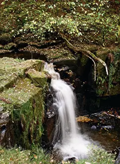 Cascade Prints: England, Northumberland, Bellingham