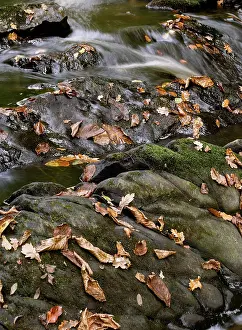 Cascade Prints: England, Northumberland, Bellingham