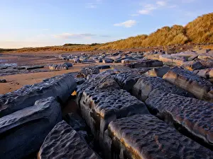 Heritage Coast Prints: England, Northumberland, Cocklawburn Beach
