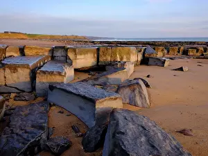 Heritage Coast Prints: England, Northumberland, Cocklawburn Beach