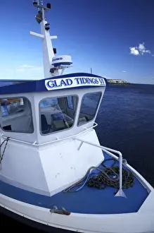 England Northumberland Farne Islands Glad Tidings boat trip to the Farne Islands
