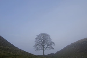 England, Northumberland, Hadrians Wall