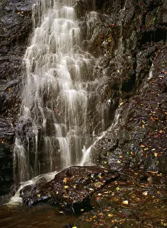 Cascade Prints: England, Northumberland, Hareshaw Linn