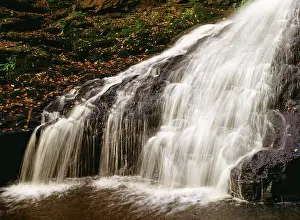 Cascade Prints: England, Northumberland, Hareshaw Linn