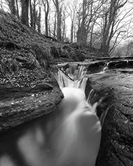 Cascade Prints: England, Northumberland, Holywell Dene