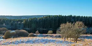 England, Northumberland, Kielder Water & Forest Park