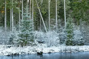 England, Northumberland, Kielder Water & Forest Park