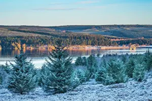England, Northumberland, Kielder Water & Forest Park