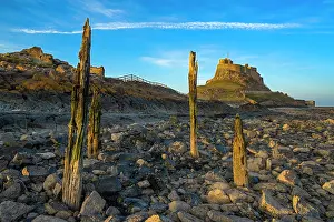 Protected Prints: England, Northumberland, Lindisfarne / Holy Island