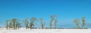 Cold Prints: England, Northumberland National Park, Tyne Valley