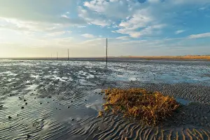 England, Northumberland, Northumberland Heritage Coast