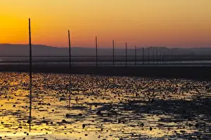 England, Northumberland, Northumberland Heritage Coast. The Pilgrims Causeway linking the Holy Island of Lindisfarne off the Northumberland Coast with