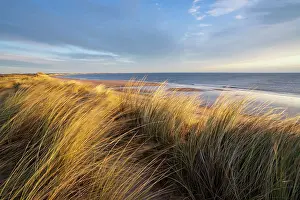 Walking Prints: England, Northumberland, Northumberland Heritage Coast