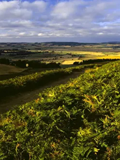 ENGLAND, Northumberland, Northumberland National Park