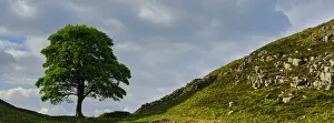 England, Northumberland, Northumberland National Park